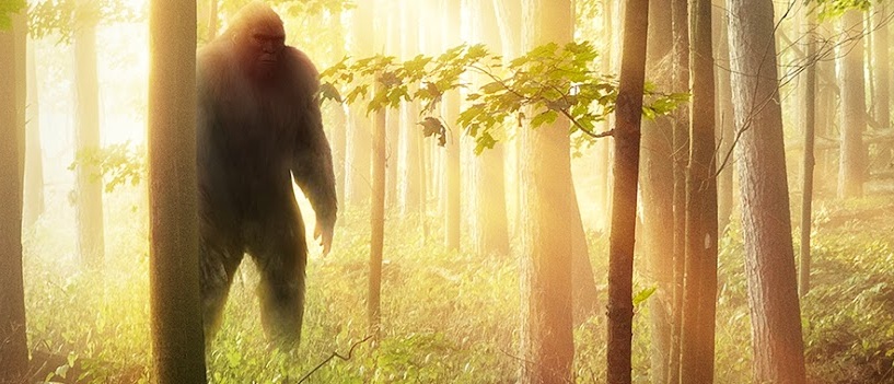 A Flash Of Beauty: Bigfoot Revealed | Tara banner image